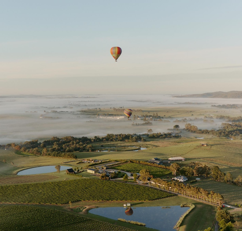 Go Wild Ballooning