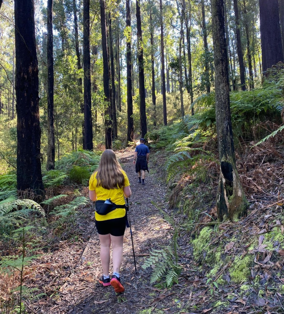 Lyrebird Circuit Walk