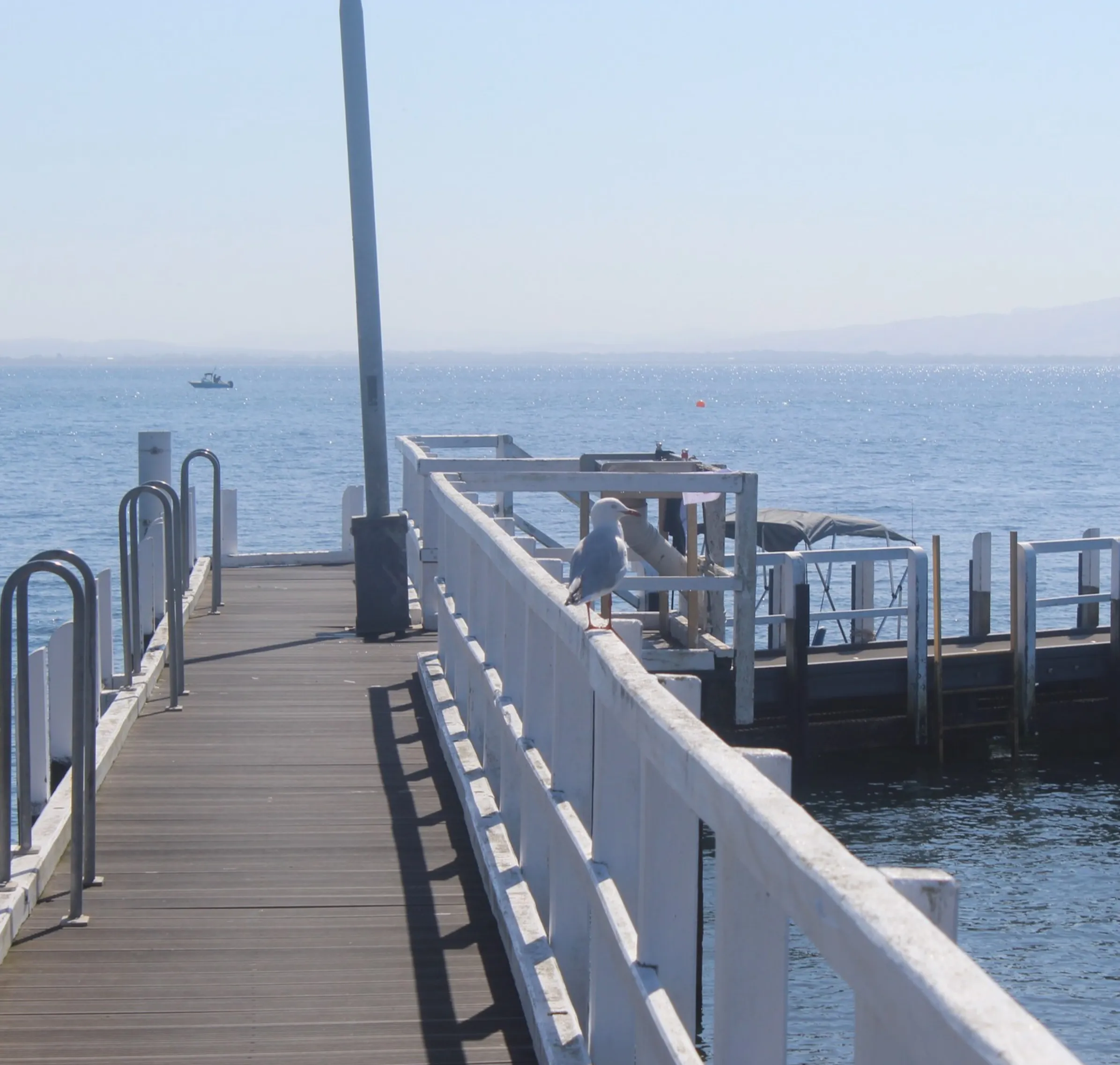 natural attractions, Phillip Island