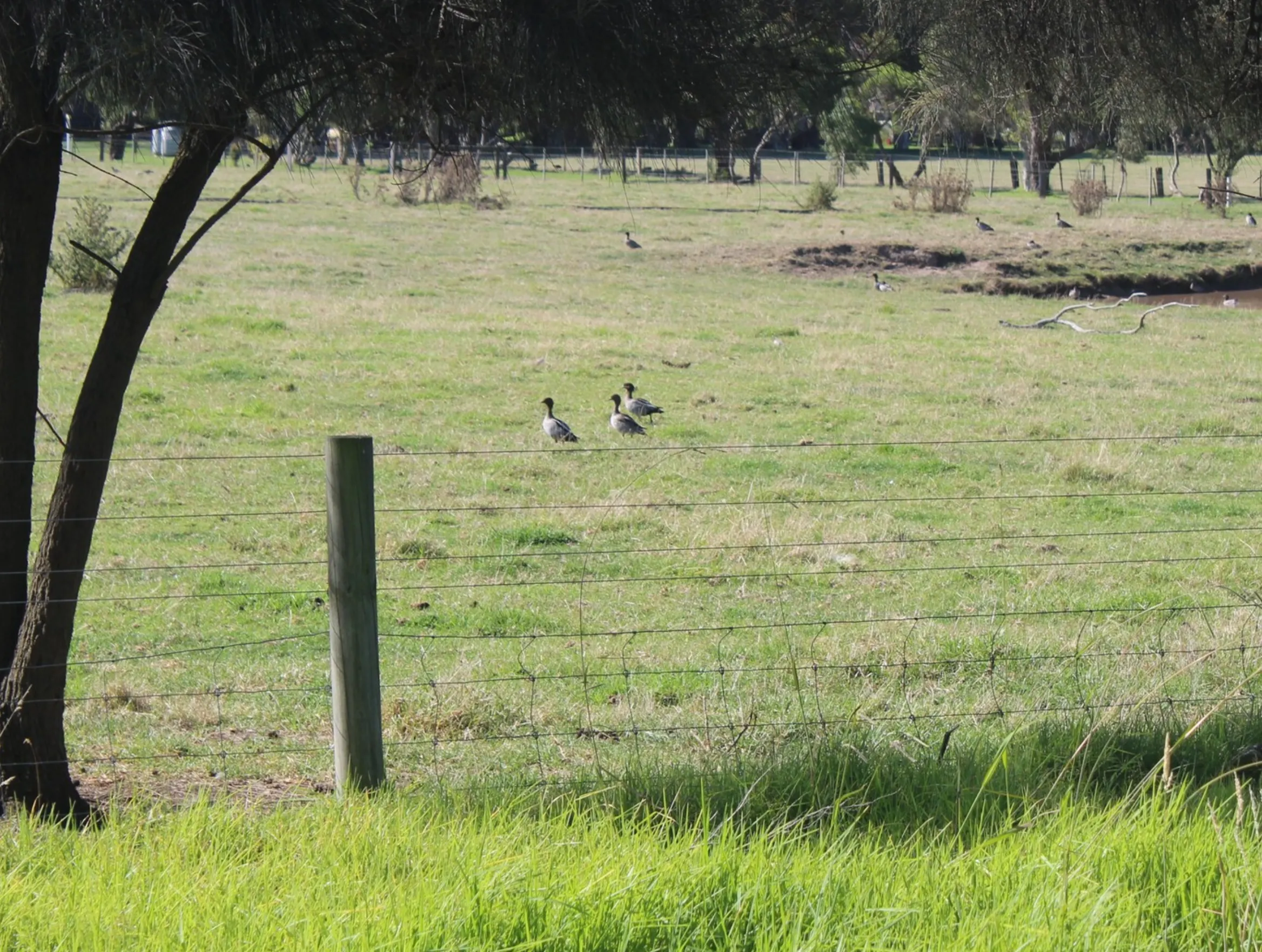 panoramic views, Phillip Island