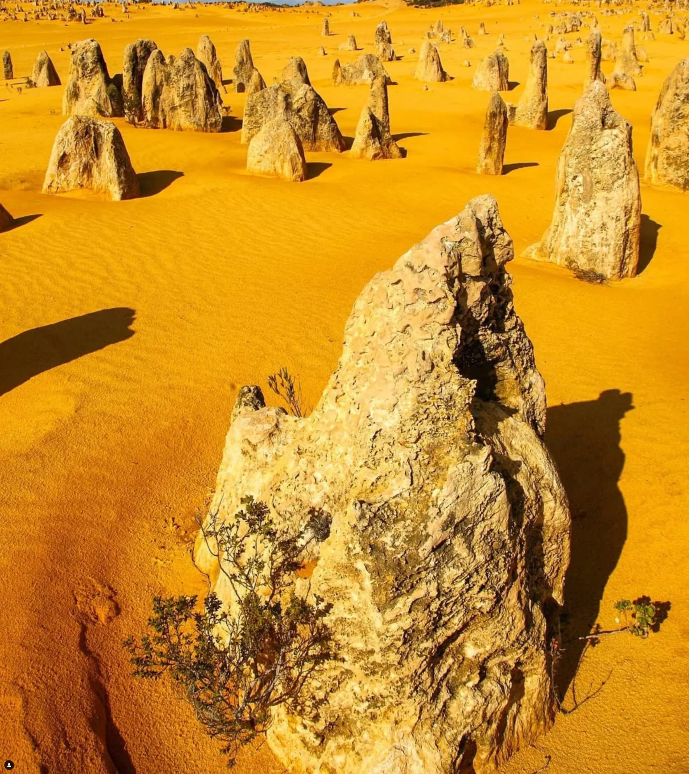 adventurous landscapes