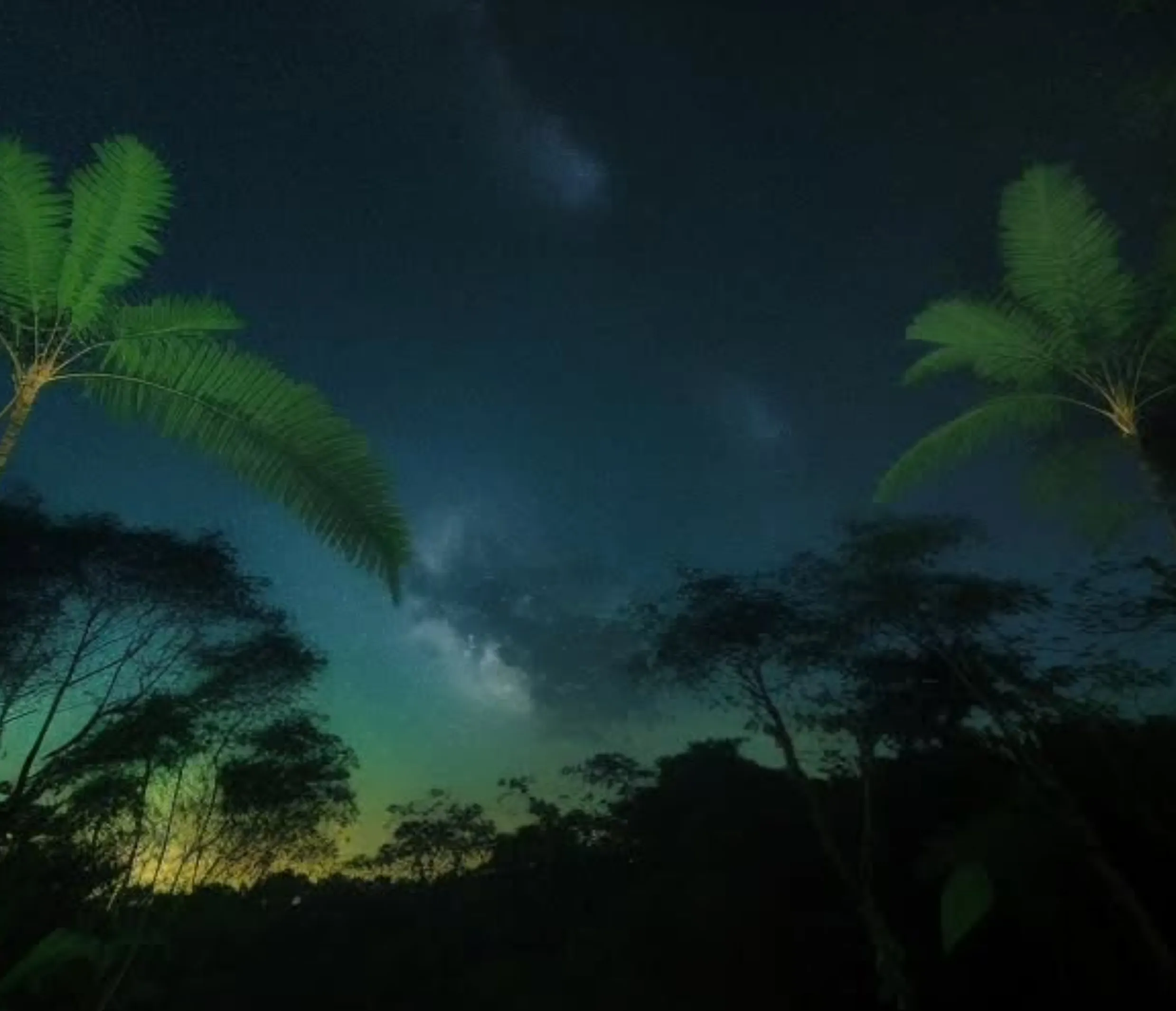 glow worms Scenic Rim